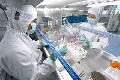 MOVAS貼壁傳代培養細胞系價格 產地:上海市張江高科技園區 品牌:DSMZ、ATCC、RIKEN等細胞庫 廠家:上海鼎達生物科技