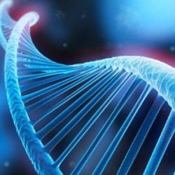 生物科技、細(xì)胞領(lǐng)域新業(yè)態(tài)講座