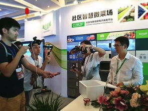 蘇州松下生產科技新植物工廠蔬菜出貨