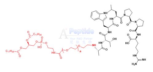 dspe peg a7r atwlppr 二硬脂酰基磷脂酰乙醇胺 聚乙二醇 腫瘤靶向蛋白 血管腫瘤靶向肽atwlppr
