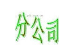 道窖鎮專業代辦服務 一站式解決企業注冊與財稅管理